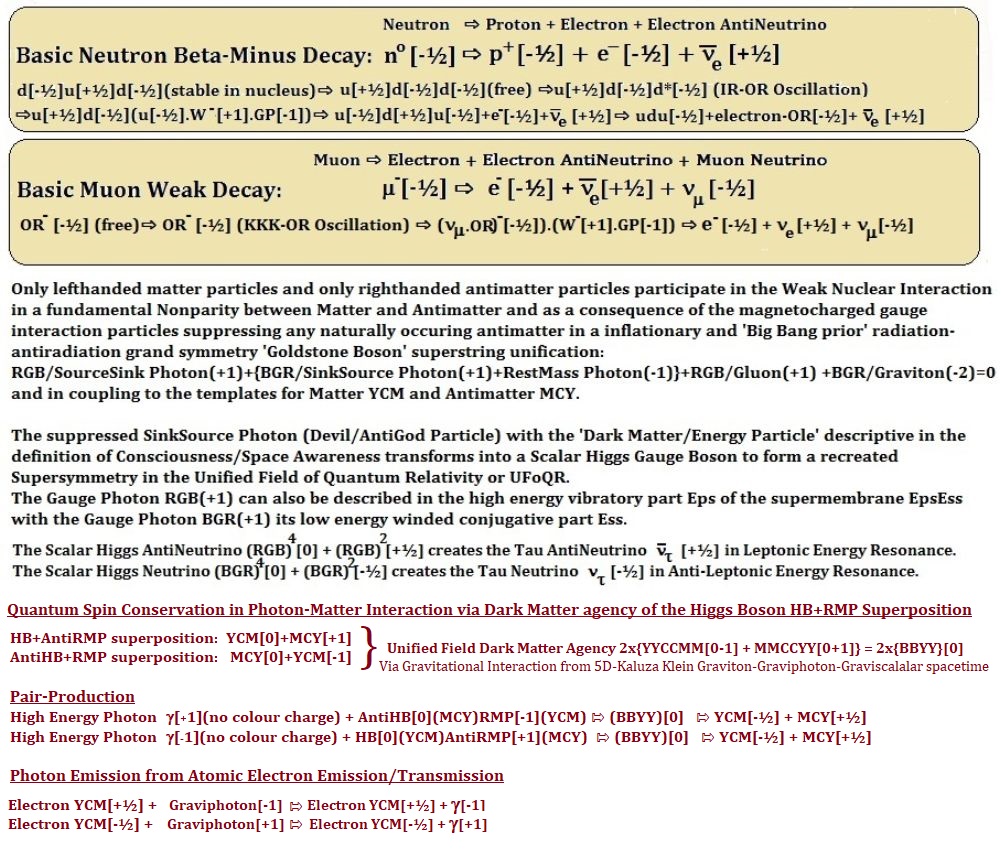 neutrinoweakon2.