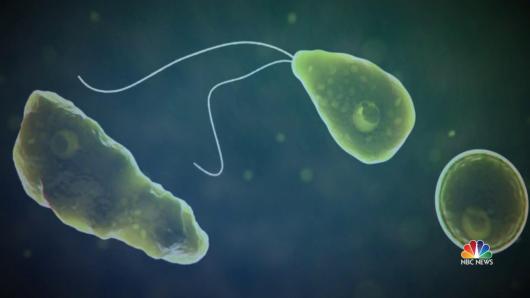 nn_ggu_brain_eating_amoeba_kills_nc_man_190726_1920x1080.