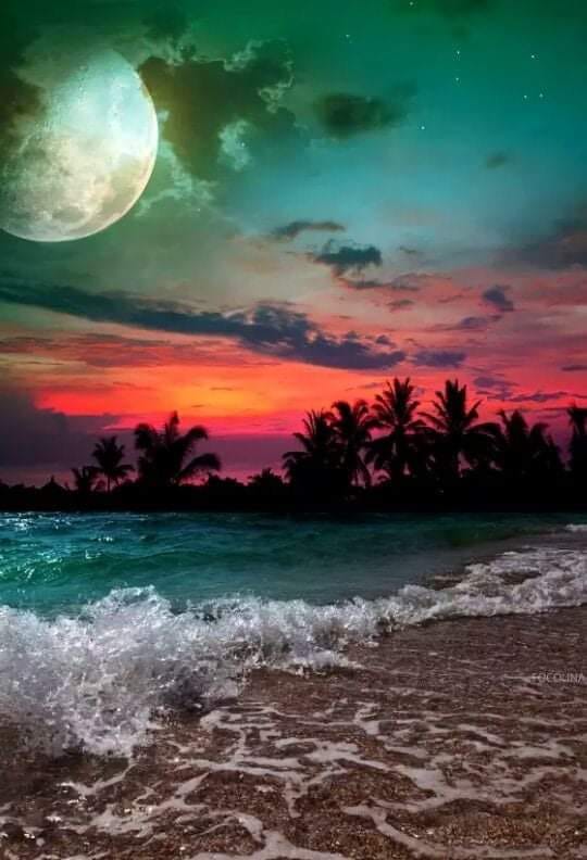 november2004BahamasEluthera.