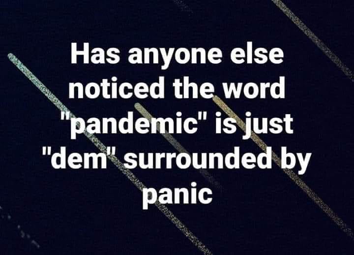 panDEMic.JPG