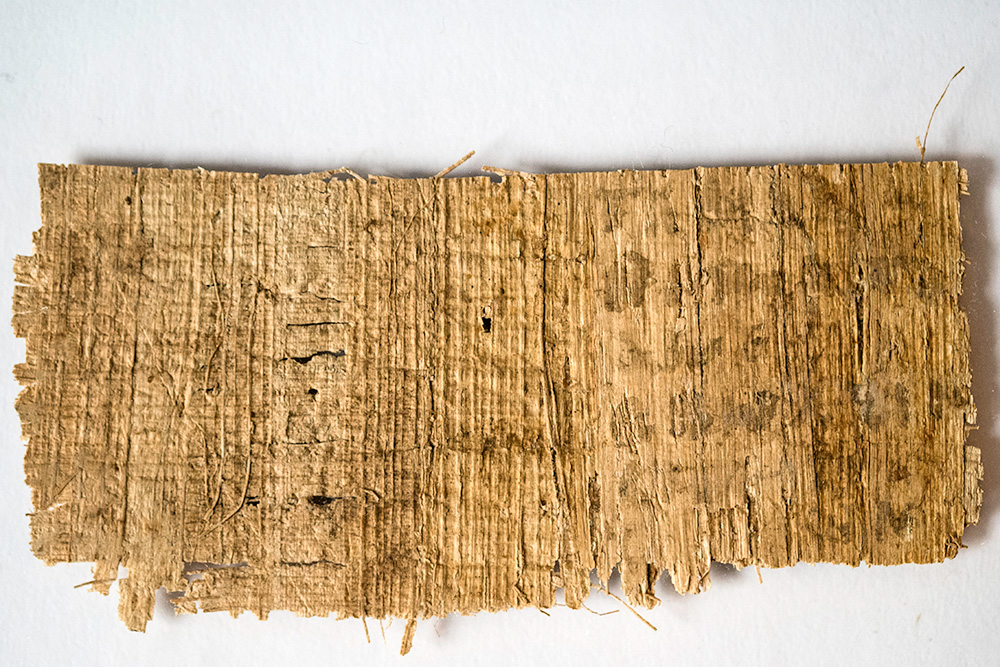 papyrus_back_lg.