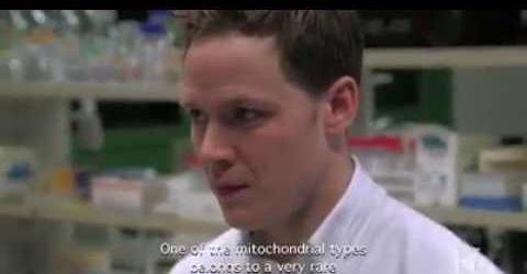 .php?d=AQFIZ2p0uUDz9QTZ&w=480&h=250&url=https%3A%2F%2Fi.ytimg.com%2Fvi%2F1lu8GRN_U00%2Fhqdefault.