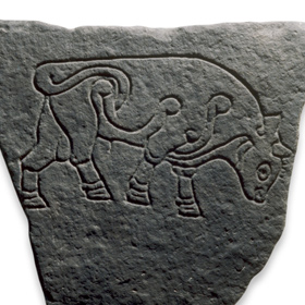 pictsburgheadbull280_tcm4-553777.