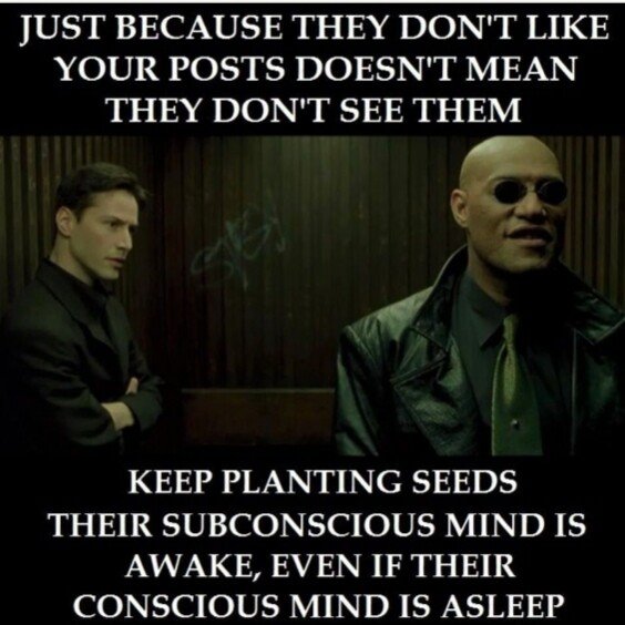 PLANTSEED2.JPG