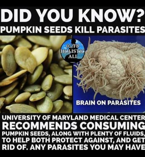 pumpkinseeds2.