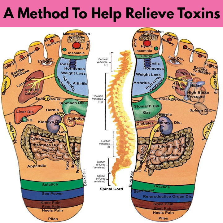 q75_spS444&_nc_cat=102&ccb=1-7&_nc_sid=e84a38&_nc_ohc=FJvMaZqyxNoAX_esWAw&_nc_ht=scontent-yyz1-1.