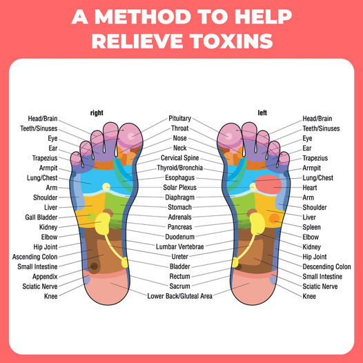 q75_spS444&_nc_cat=103&ccb=1-7&_nc_sid=e84a38&_nc_ohc=XA1c7GCRDdsAX-P57pa&_nc_ht=scontent-yyz1-1.