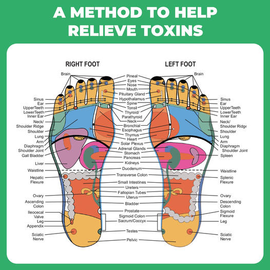 q75_spS444&_nc_cat=111&ccb=1-7&_nc_sid=68ce8d&_nc_ohc=QTTQzbKHIMoAX88CwWj&_nc_ht=scontent-yyz1-1.