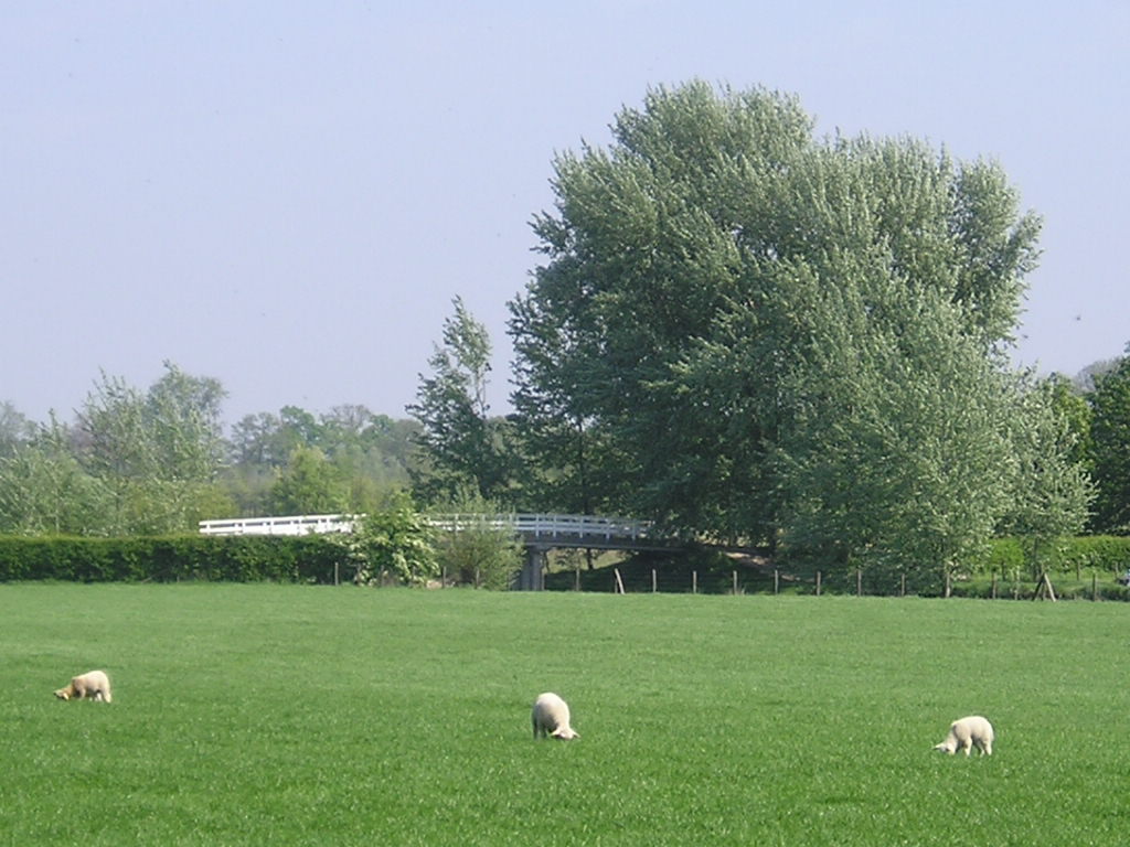rijnau10.