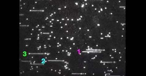 rl=http%3A%2F%2Fwww.sciencealert.com%2Fimages%2Farticles%2Fprocessed%2Fdna-replication-film_1024.