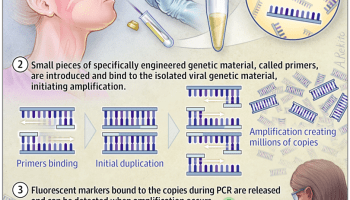 rt-pcr-tes.