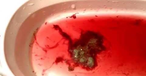 safe_image.php?d=AQEFU46pYV_-UtVi&w=480&h=250&url=https%3A%2F%2Flh6.googleusercontent.