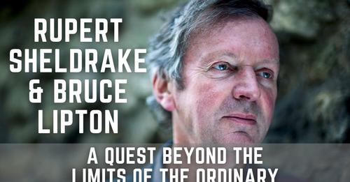 safe_image.php?w=500&h=261&url=https%3A%2F%2Fi.ytimg.com%2Fvi%2Fw5aNH5lQPeA%2Fmaxresdefault.