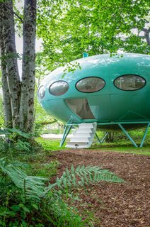 set-among-mature-trees-and-thick-vegetation-the-futuro-house-is-also-just-steps-from-the-water.