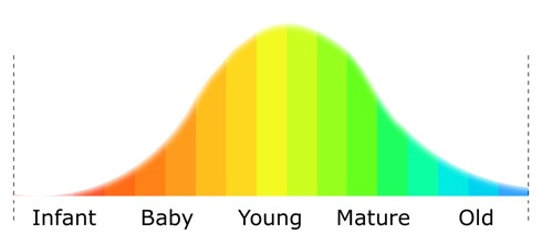 soul-age-curve-490.