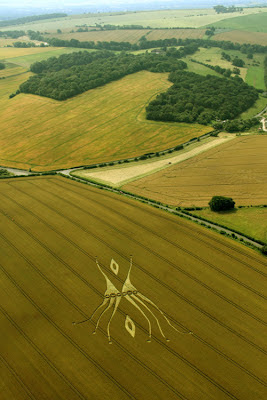 Space+Tentacles+Crop+Circle+at+Hill+Barn+Wiltshire+UK+26th+July+2012.