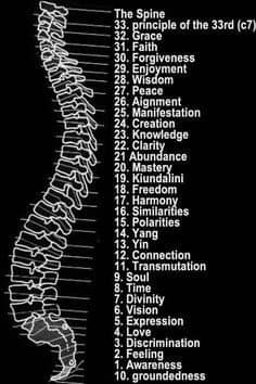 spine33.