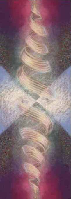 spiralsabovebelowfish.