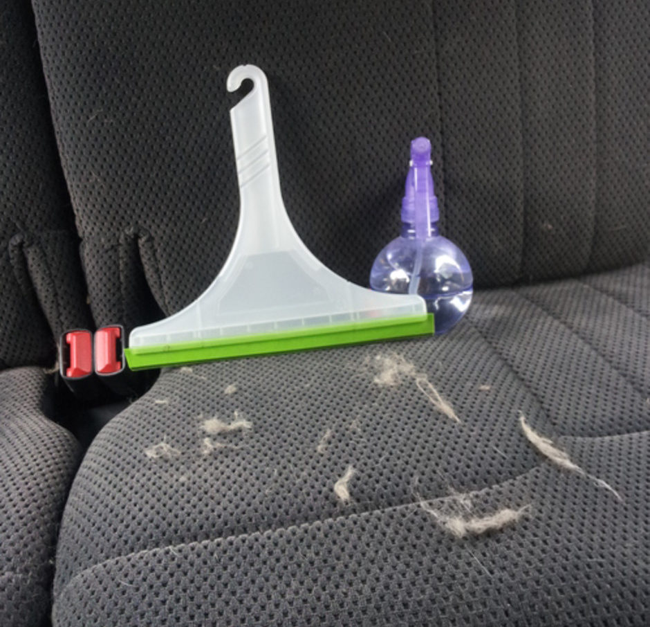 squee-e1496586232428.