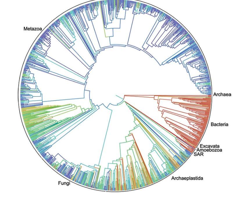 st--_nc_cat-107-ccb-1-7-_nc_sid-dbeb18-_nc_ohc-a2j8prqffueax-xoktp-_nc_ht-scontent-yyz1-1-.