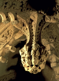 Star_of_Bethlehem-250x341.