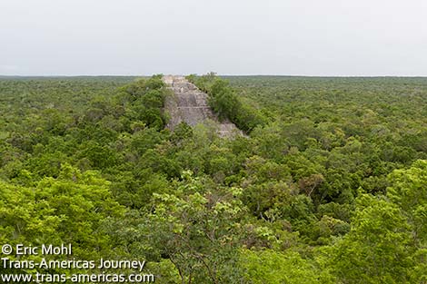 StructureI-jungle-Calakmul.