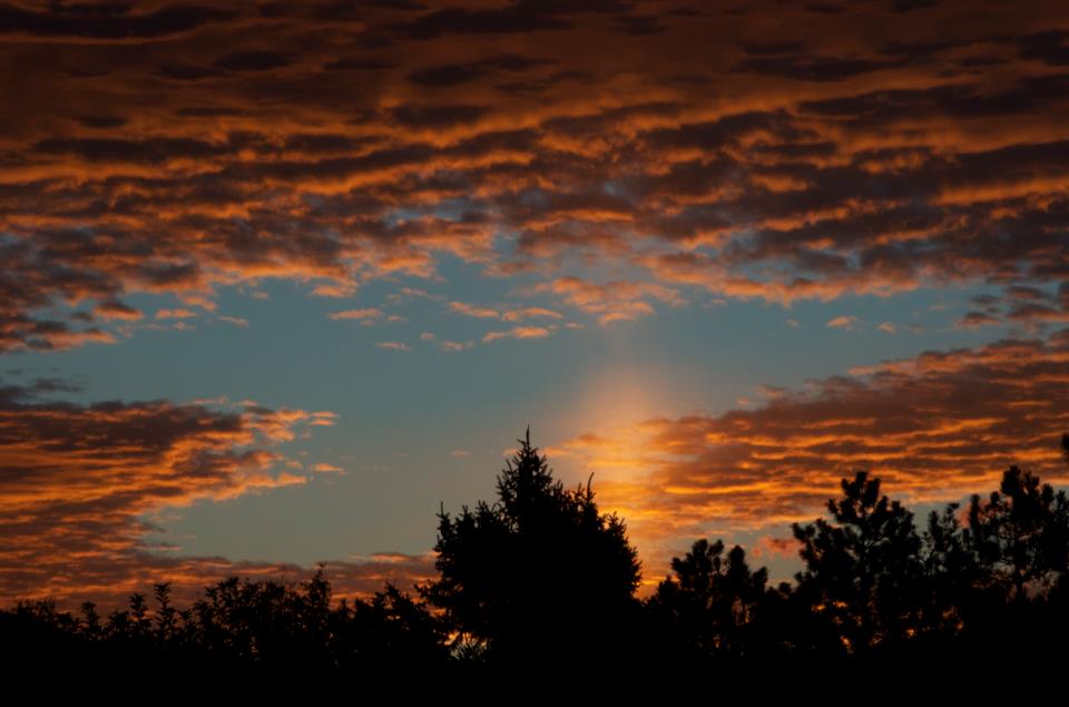 sun_pillar_Shanna_Dennis.