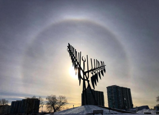 sunhalojennithompson.