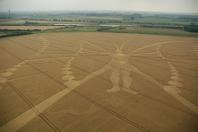 The+Butterfly+Crop+Circle+Netherlands+Biggest+Ever+2009.