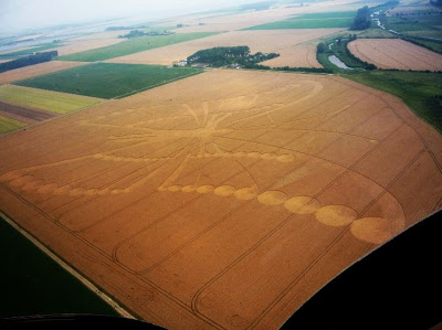 The+Human+Butterfly+Crop+Circle+Netherlands.