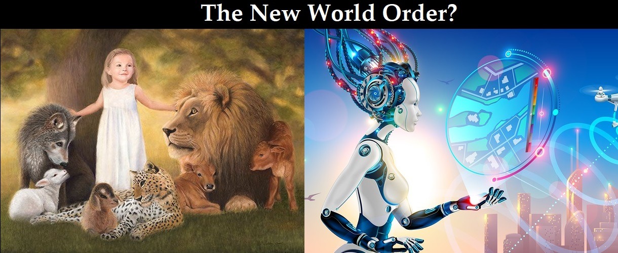 the-new-world-order--.