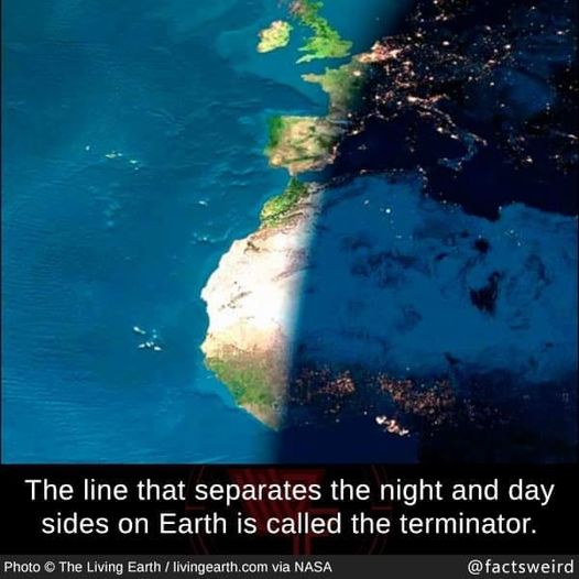 thelinethatseparatesthenightandday.