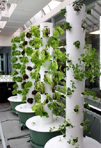 towergarden.