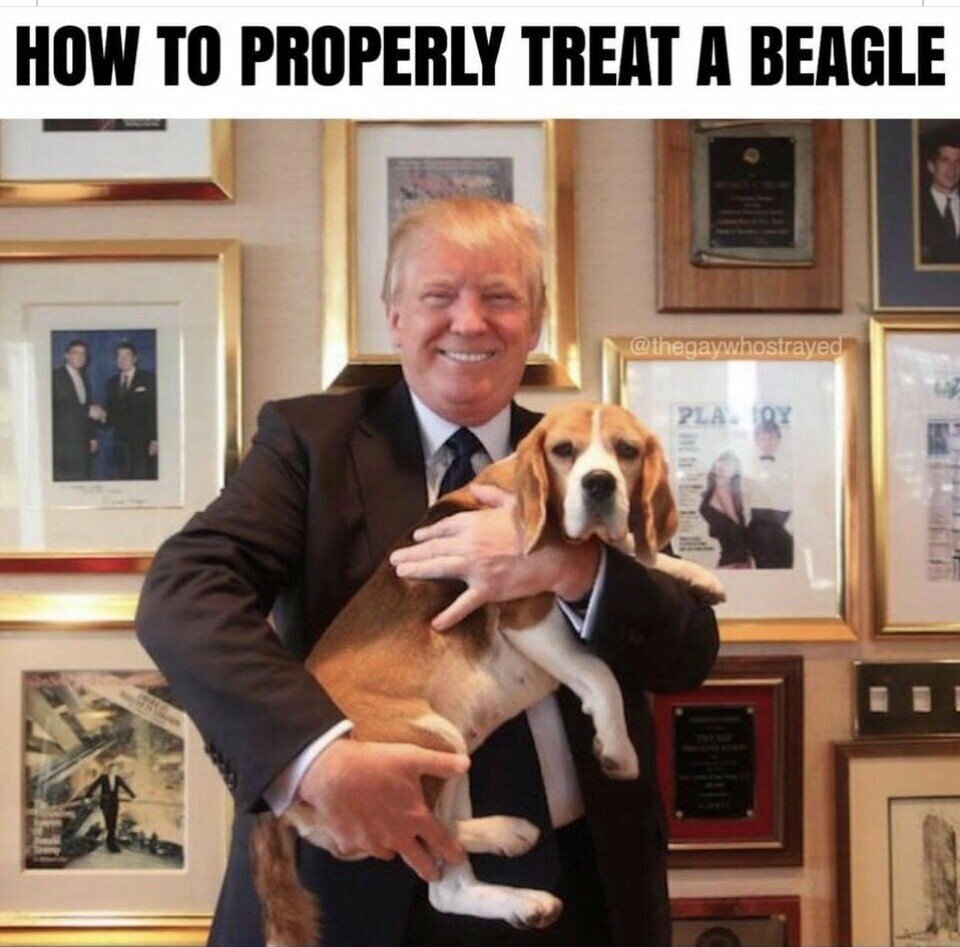 trumpNbeagle.