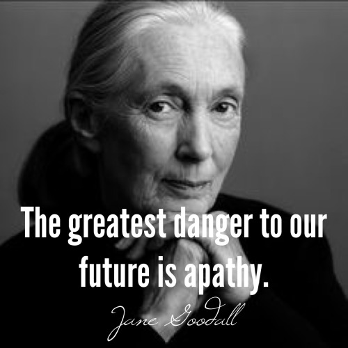 tumblr_o467z5Xf4t1uxhrnlo1_500.