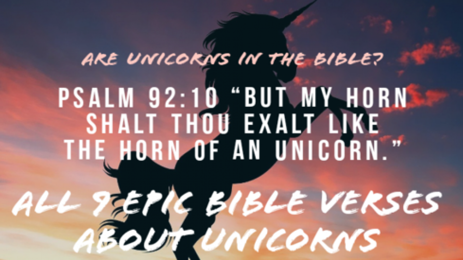 unicorn-bible-900x506.