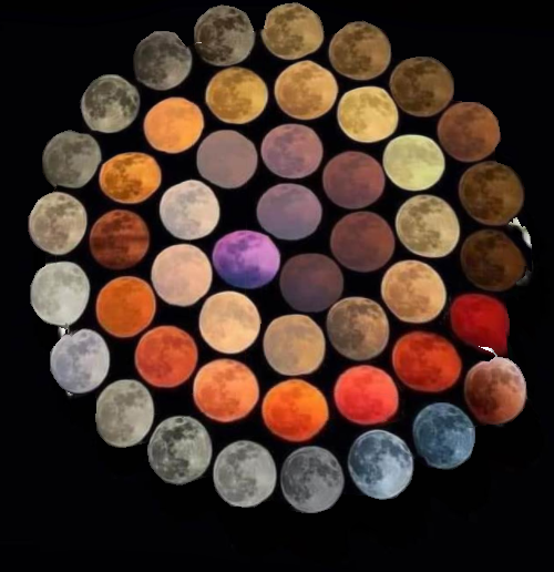 upload_2021-12-6_23-25-11.