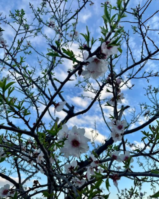 upload_2022-3-20_14-57-13.