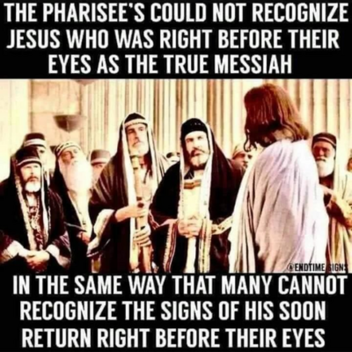 upload_2022-3-4_5-58-4.