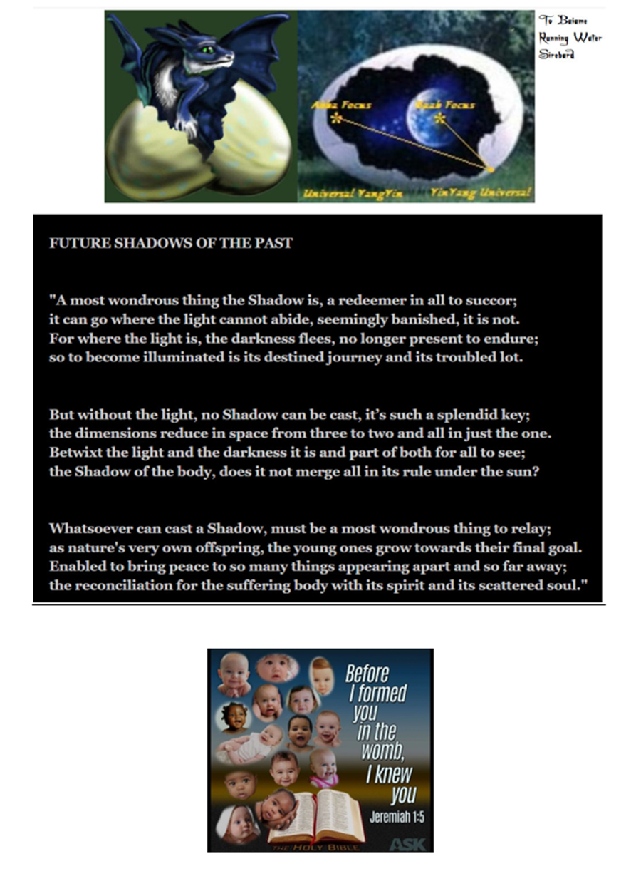 upload_2024-4-1_13-45-45.