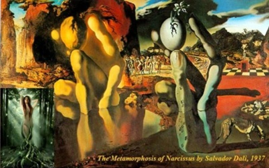 upload_2024-4-1_13-48-1.