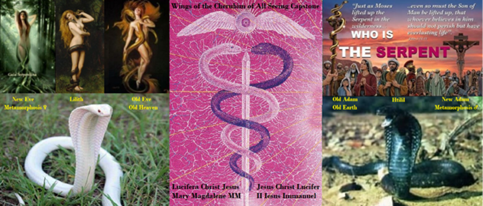 upload_2024-4-1_13-49-14.