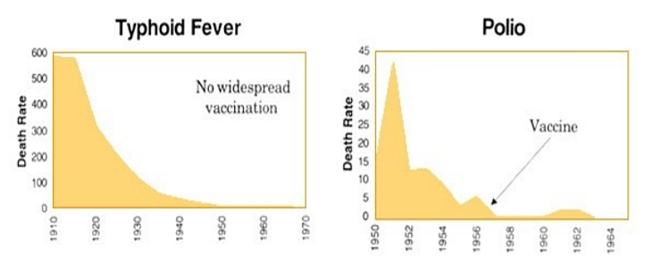 vaccine-graph-typhoid-scarlet-fever-cr.