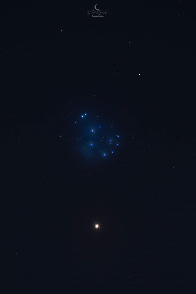 VENUSPLEIADESKevinSaragozza.