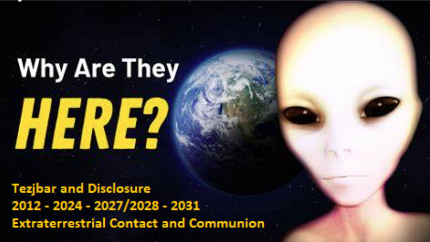 whyaretheyhere - Copy.