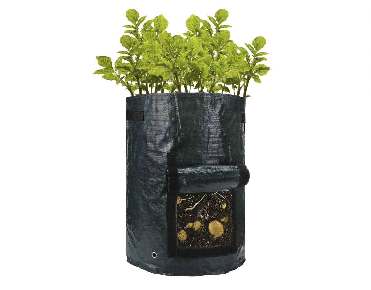 wooden-potato-planter-2644.