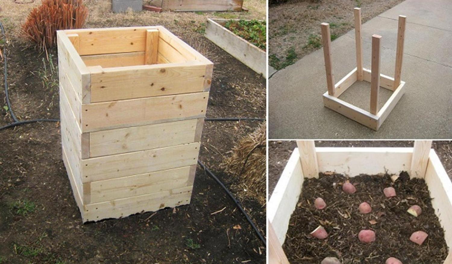 wooden-potato-planter-2957.