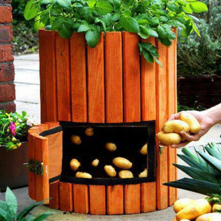 wooden-potato-planter-521.