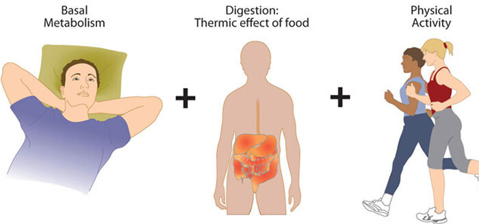 zimmerman-fig11_x004-1.